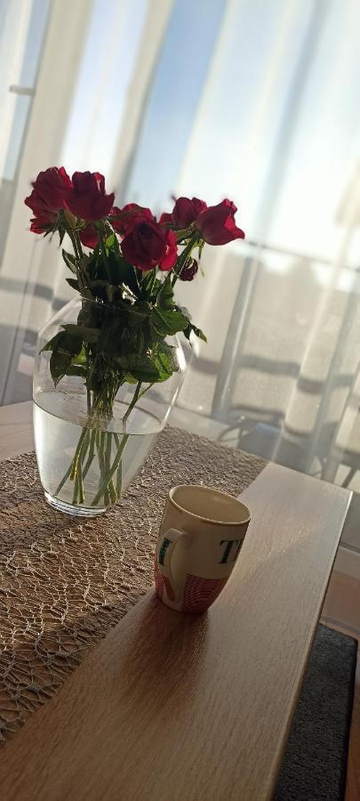 סאנוק Nova Apartment מראה חיצוני תמונה