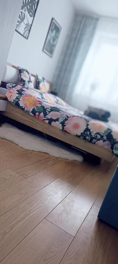 סאנוק Nova Apartment מראה חיצוני תמונה